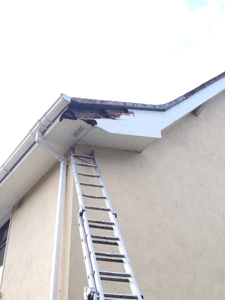 Roof Repair Service in Disley